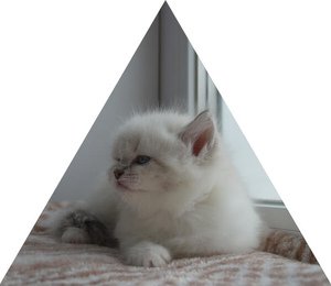 Crystal Taiga Heart